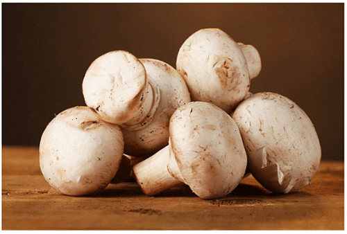 달걀과 같이 먹으면 좋은 음식 종류