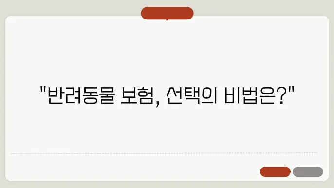 반려동물 보험, 제대로 선택하는 방법