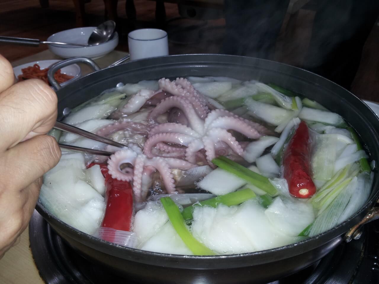 생생정보통 박속낙지탕 경기 광명 맛집 정보