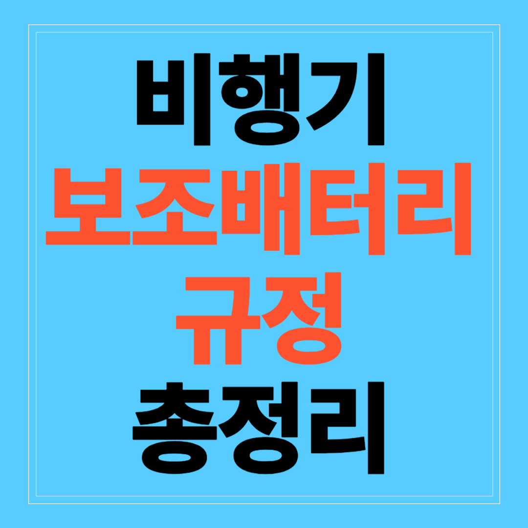 비행기 보조배터리 규정