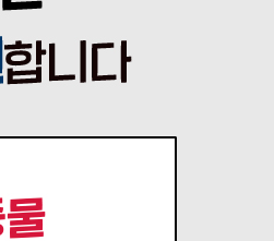 국민카드 민생지원금 잔액조회 소비쿠폰 남은금액 확인6