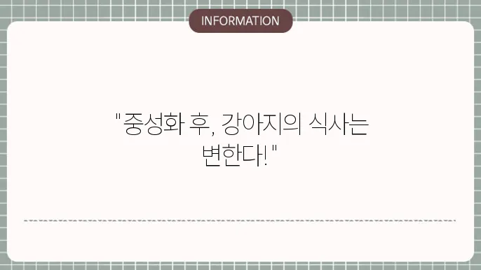 강아지 중성화수술후 식사