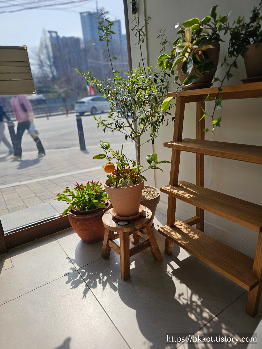 용인 수지 마리앤미