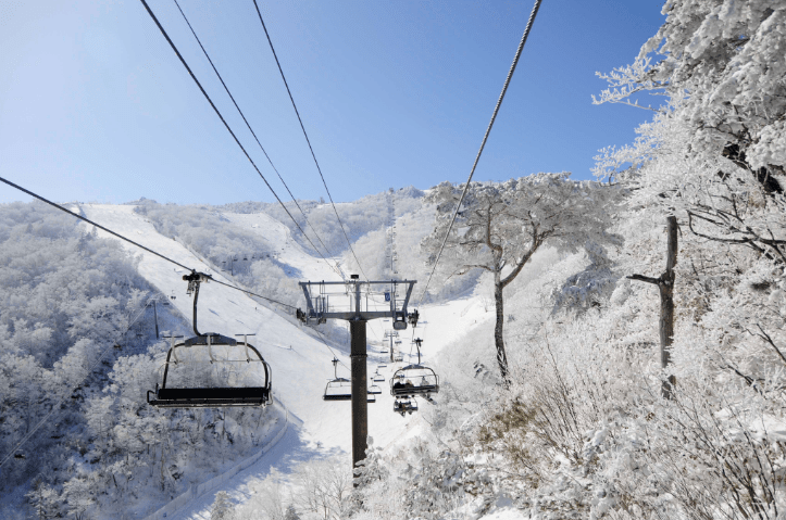 무수주스키장 리프트권 가격