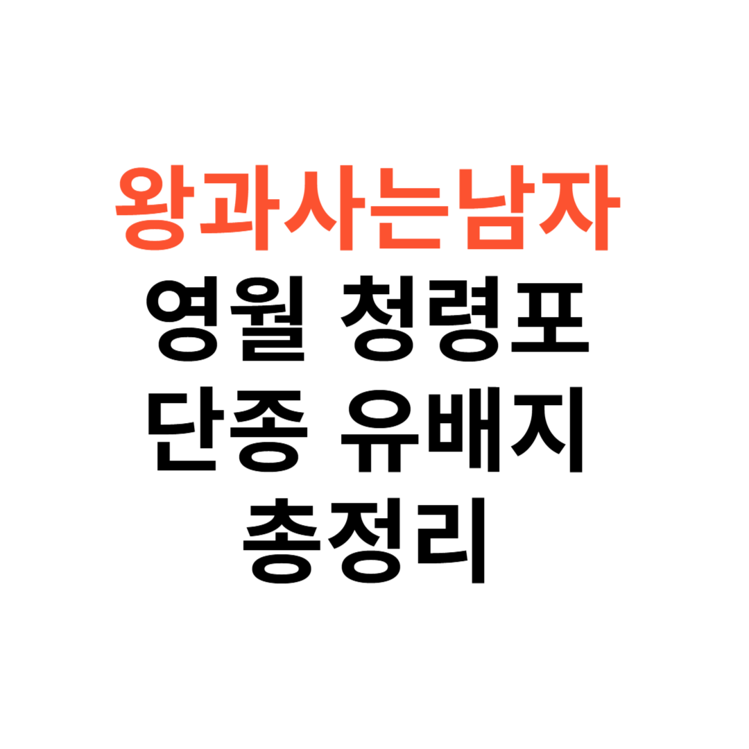 왕과사는남자