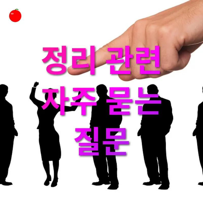 분류와 기준_4