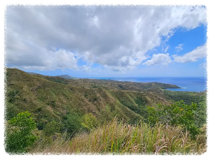 세티 베이 전망대