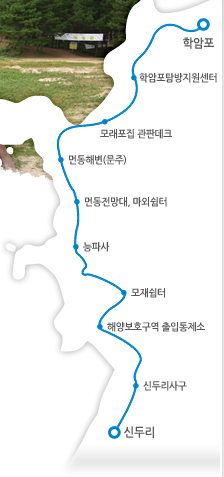 태안 가볼만한곳 학암포 해수욕장