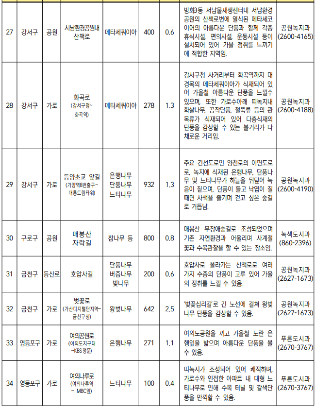 서울 단풍길 99선 소개