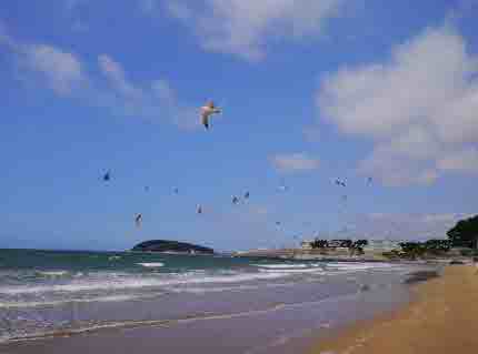 2024 보령머드축제