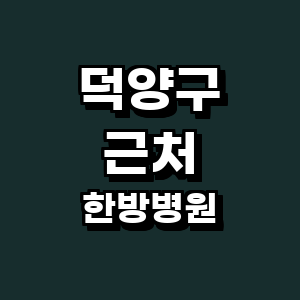 고양 덕양구 한방병원