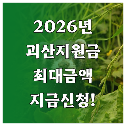 2026년 괴산군 민생 현안 지원금 ..