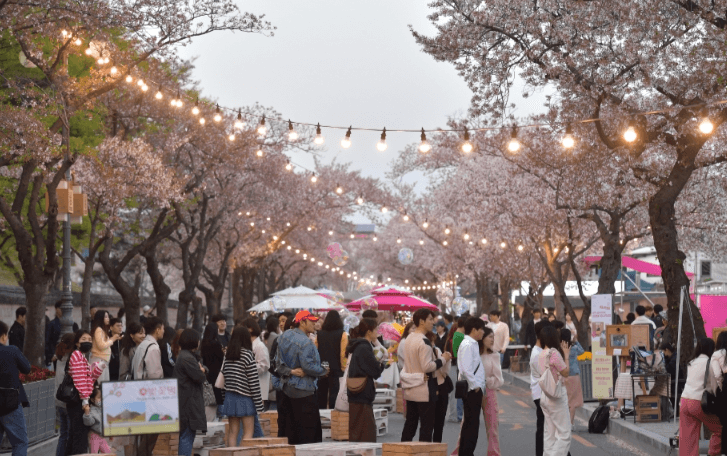 봄꽃 축제 하는 곳