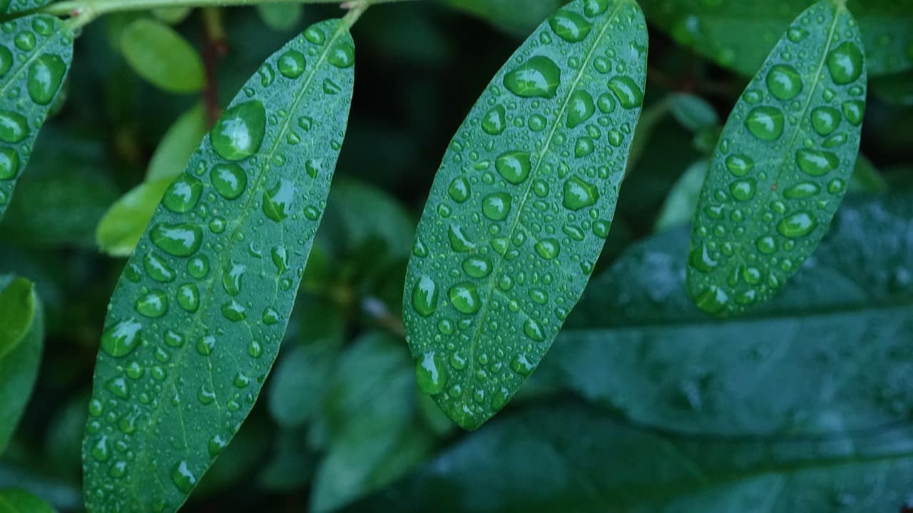 블록체인과 농업의 결합 &ndash; 스마트 계약을 활용한 농산물 유통 혁신