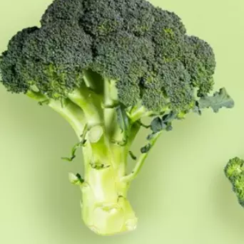 당뇨에-좋은-음식-건강