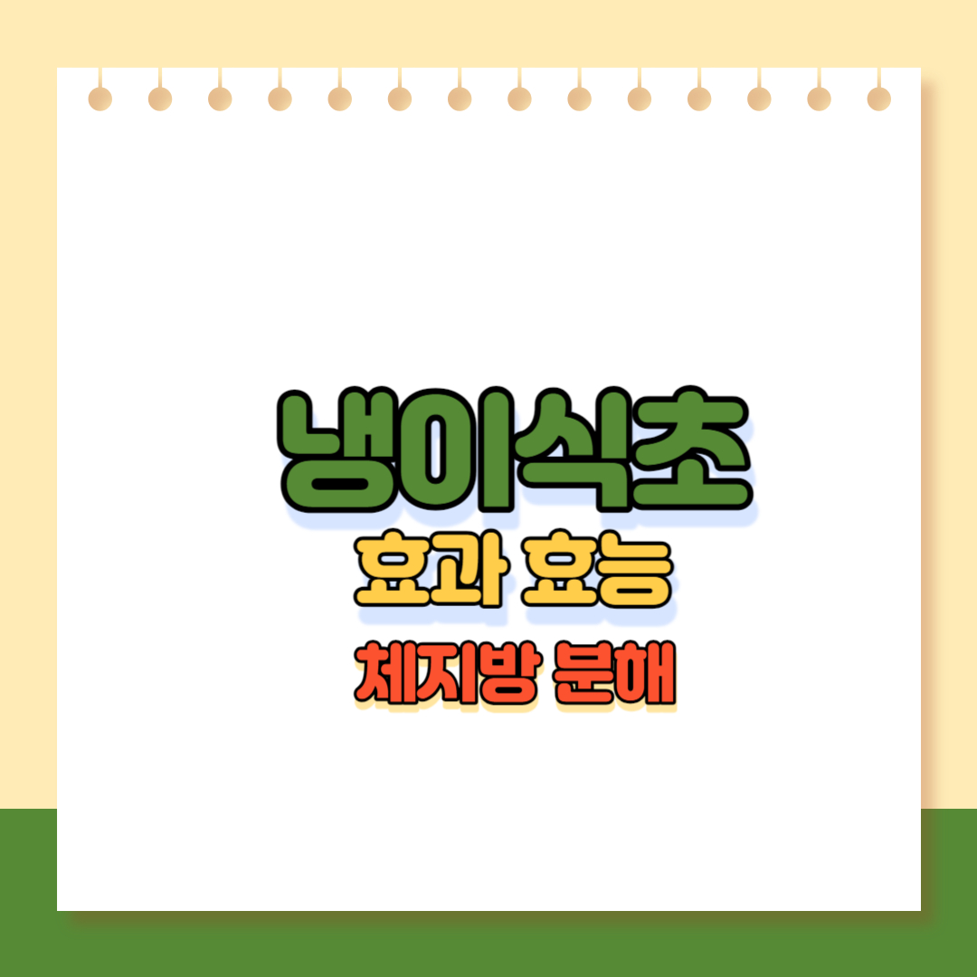 냉이식초 메인