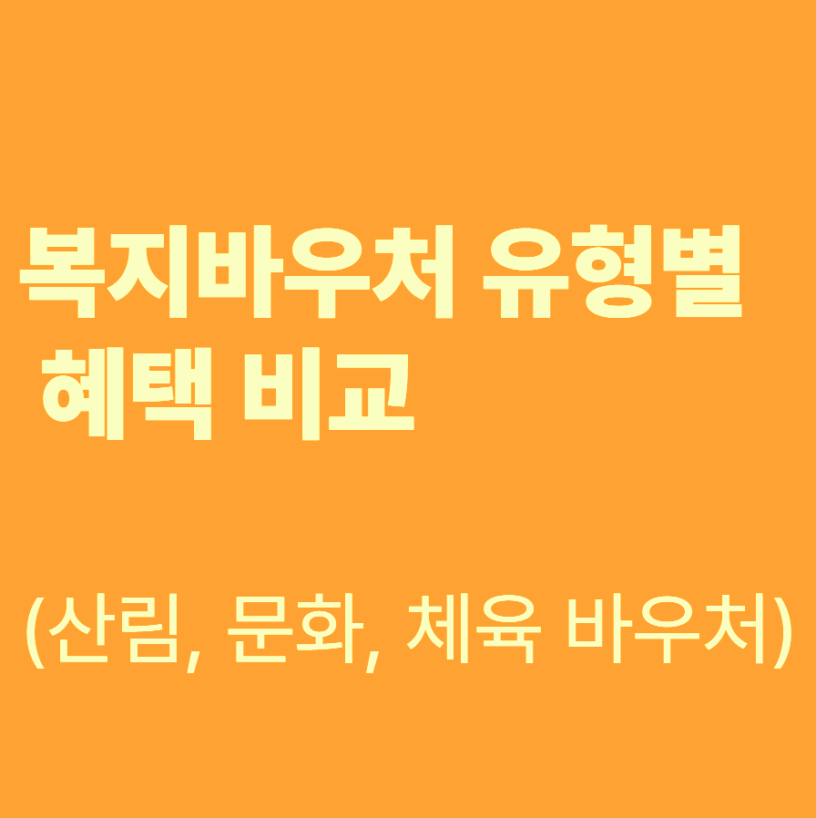 복지바우처 유형별 혜택 비교 관련 이미지