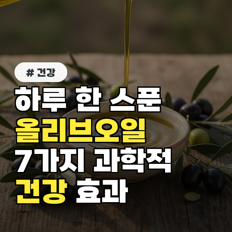 하루 한 스푼의 기적 올리브오일이 건강에 주는 7가지 과학적 효과!