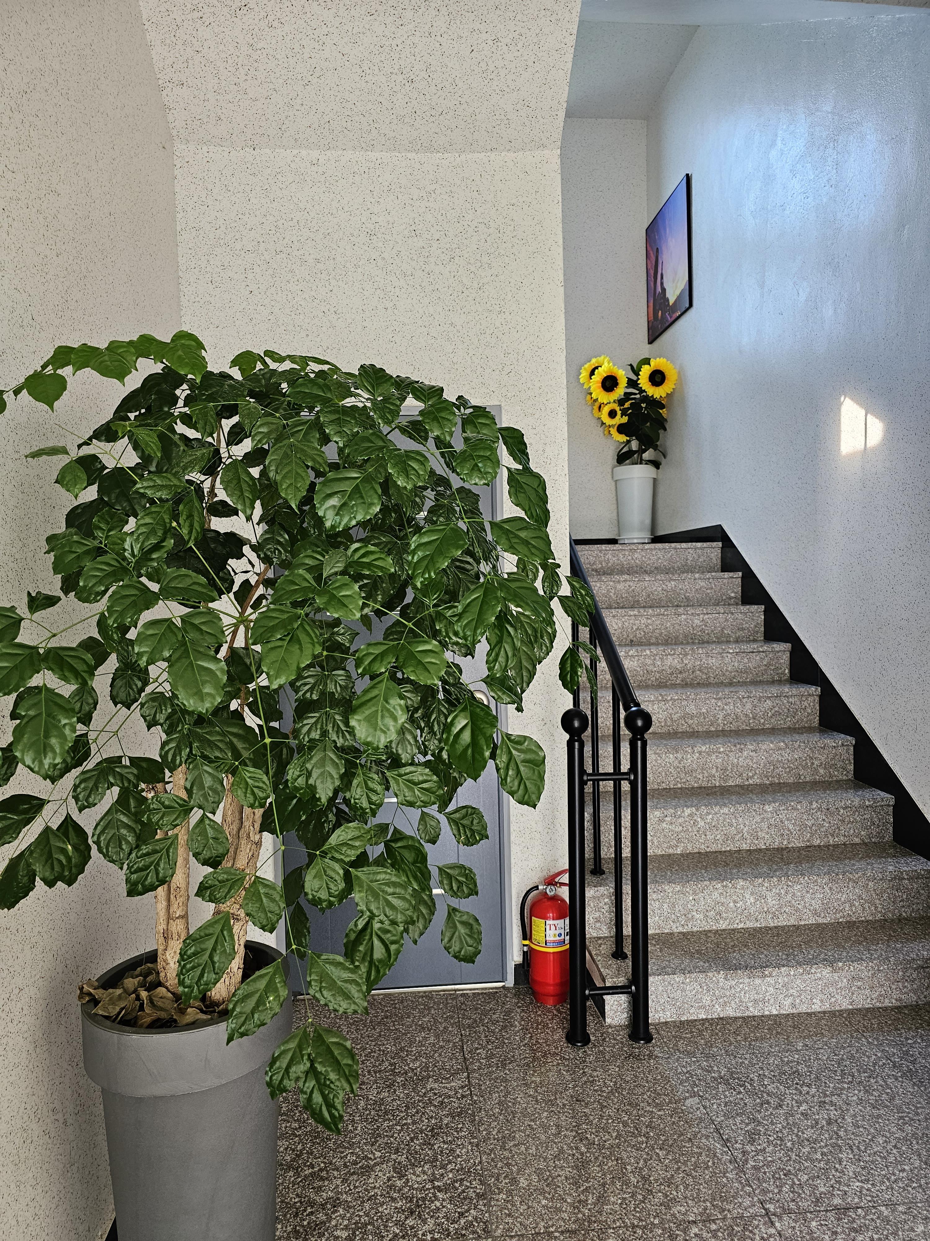 강원도_삼척시_라메르펜션_입구