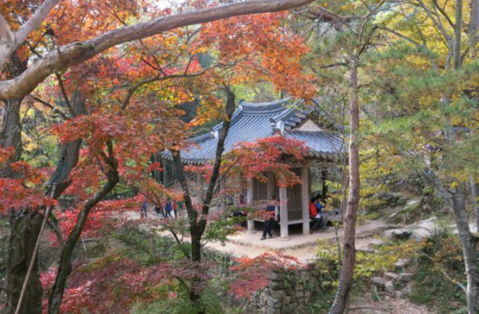 2025 무등산 단풍 절정시기 확인! 가을 BEST 등산코스 완전 정복