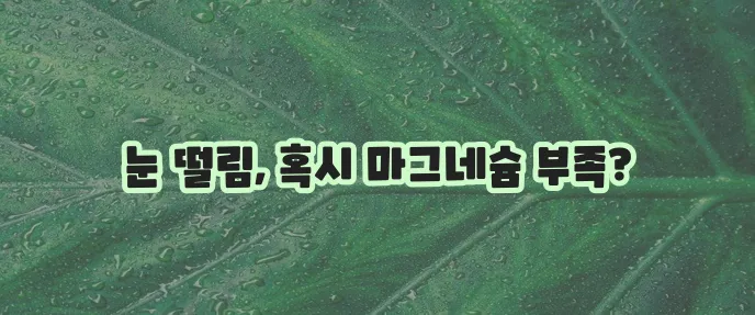 눈 떨림 완화에 마그네슘 섭취 식단이 중요합니다!