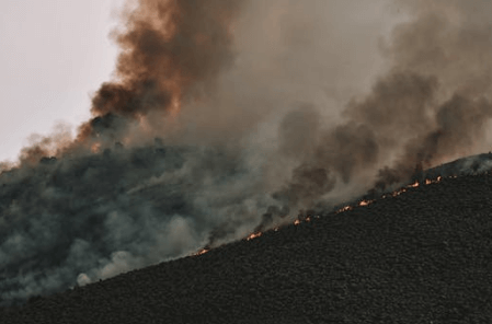 손해평가사 시험일정&amp;#44; 시험과목(전망&amp;#44; 연봉)