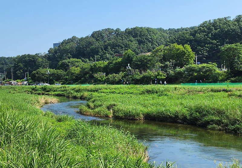강원도 원주 태장동파크골프장 (원주파크골프장) 소개