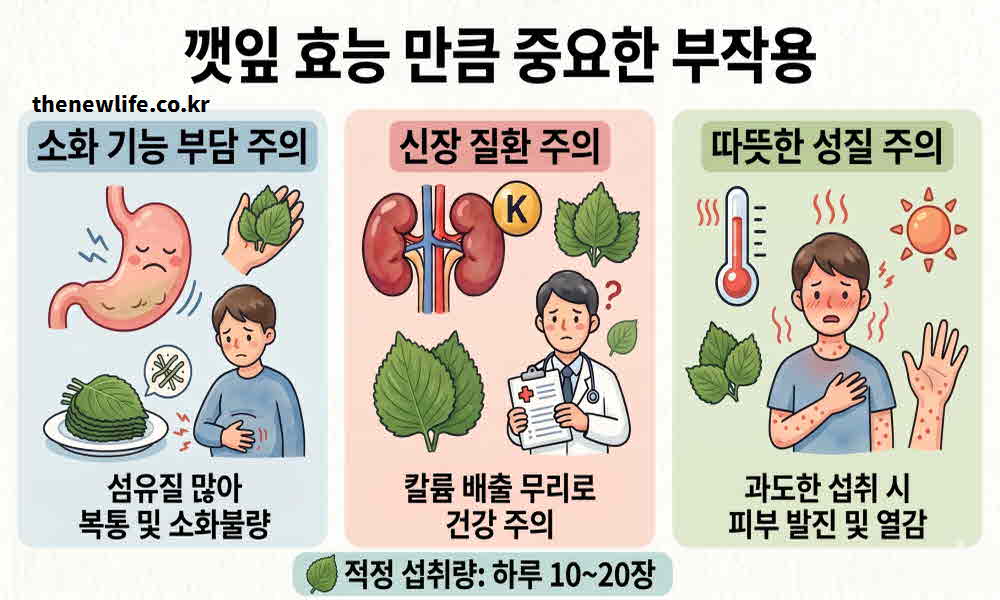 깻잎 효능 부작용