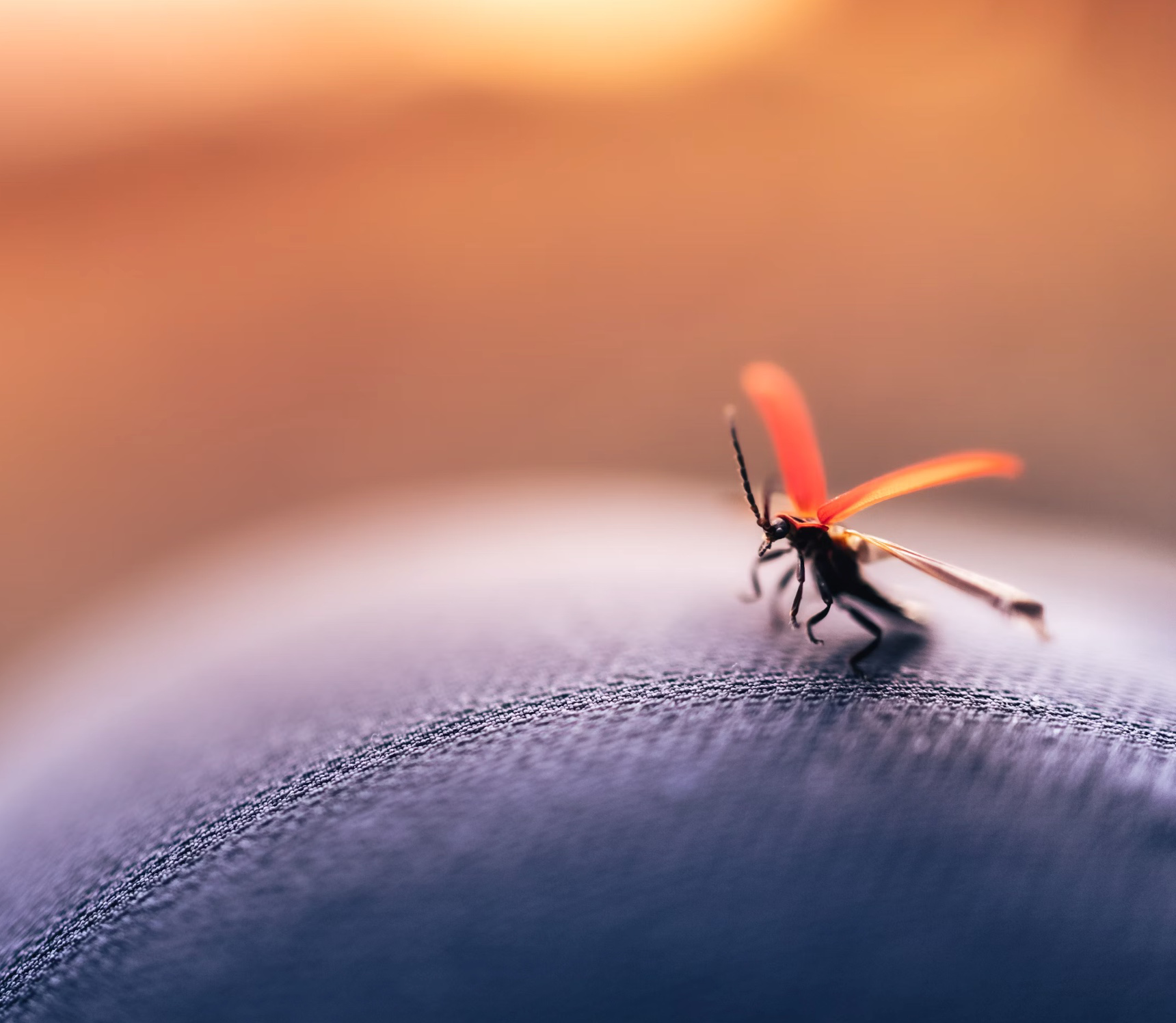 모기 잘물리는 혈액형