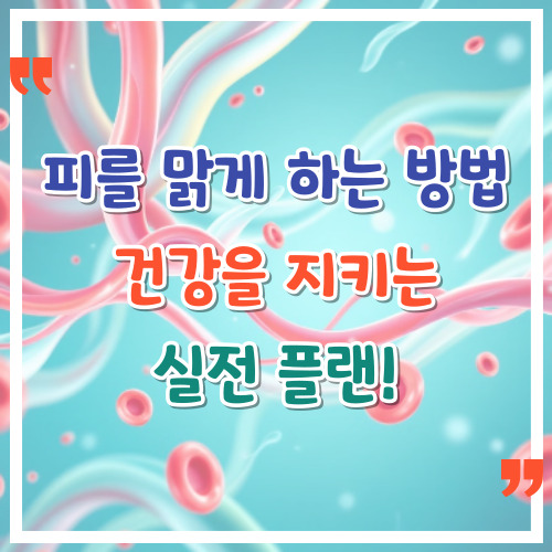피를-맑게-하는-방법-건강을-지키는-실전-플랜