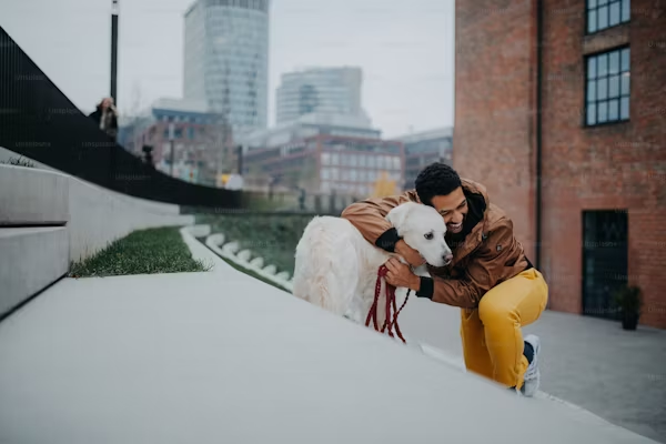 반려동물 관련 이미지