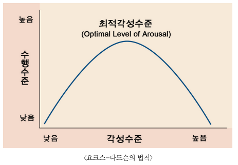 가공식품이 두뇌에 미치는 영향