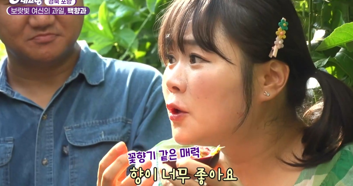 6시내고향 다시보기