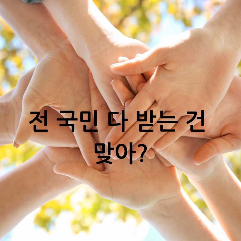 민생회복 소비쿠폰 ,대전 시민
