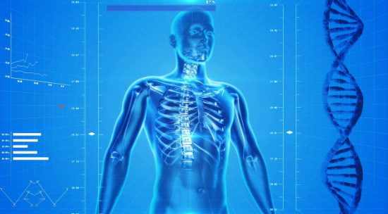 강남 맛집 독도 꽃새우영번지 메뉴 예약 가격 주차장 꿀팁