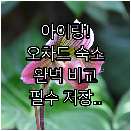 아이와 가기 좋은 싱가포르 오차드 숙..