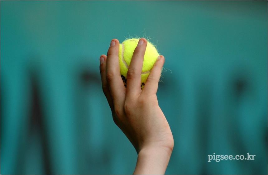 테니스-황제-페더러-볼보이