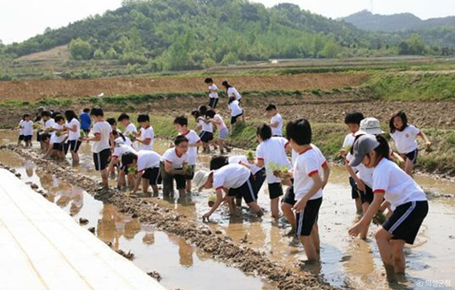 의성 가볼만한곳 베스트 10