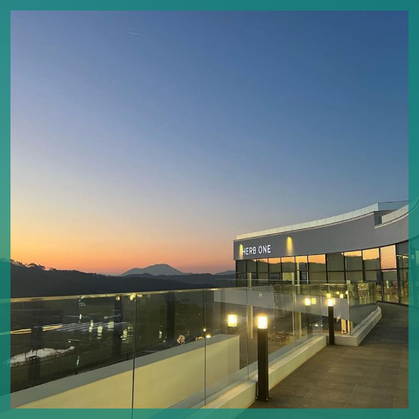 정브-허브원-카페-전경2