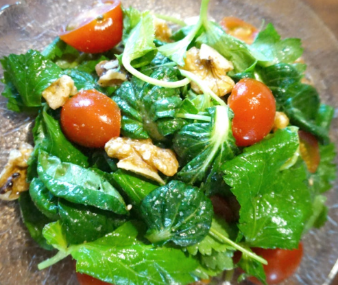 3월 제철음식 쭈꾸미 도다리 봄동 달래 냉이 방풍나물 미나리 가리비 참나물