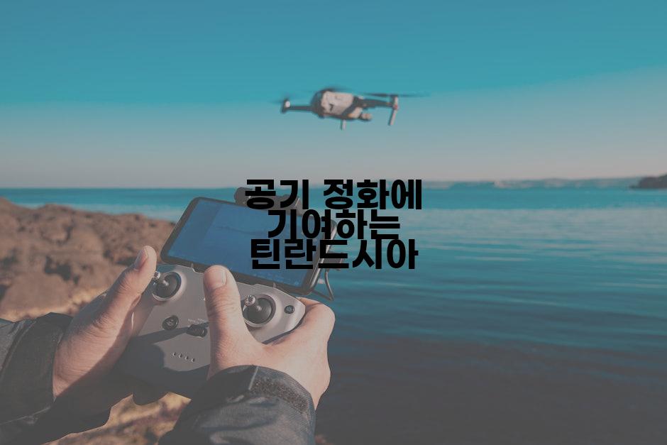 공기 정화에 기여하는 틴란드시아