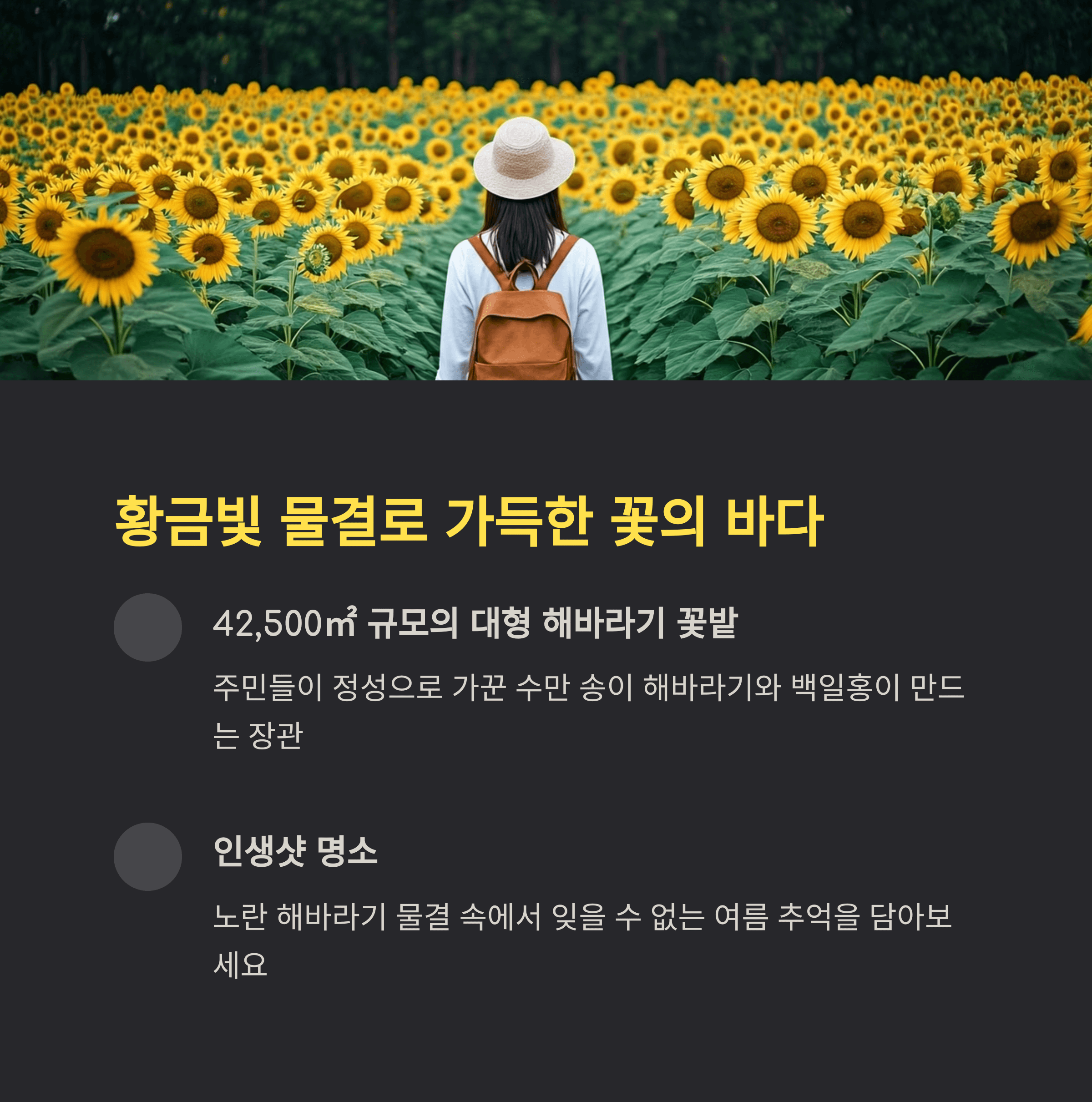 황금빛 물결로 가득한 꽃의 바다