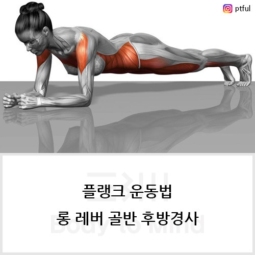 기초대사량을 높이는 근력운동