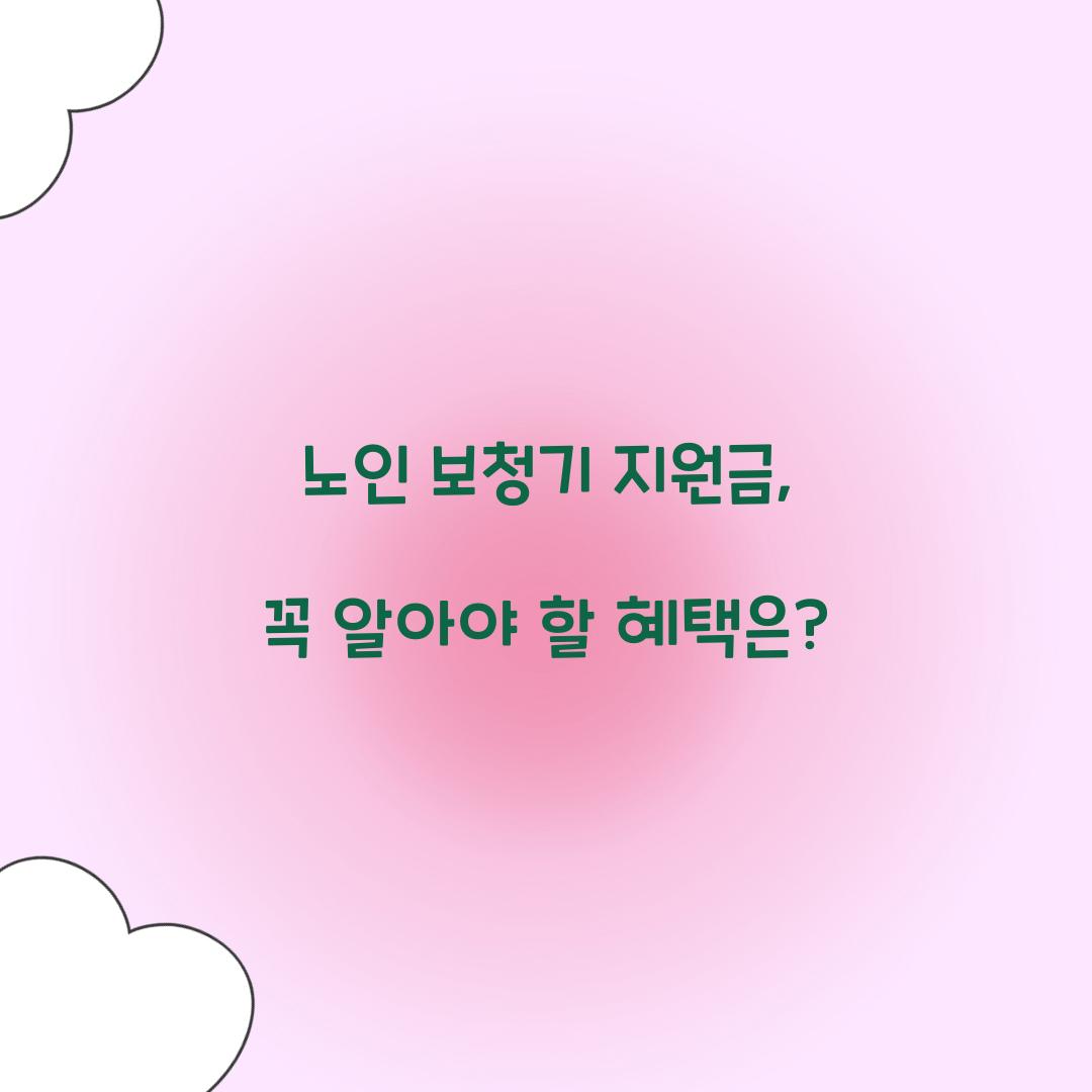 노인 보청기 지원금