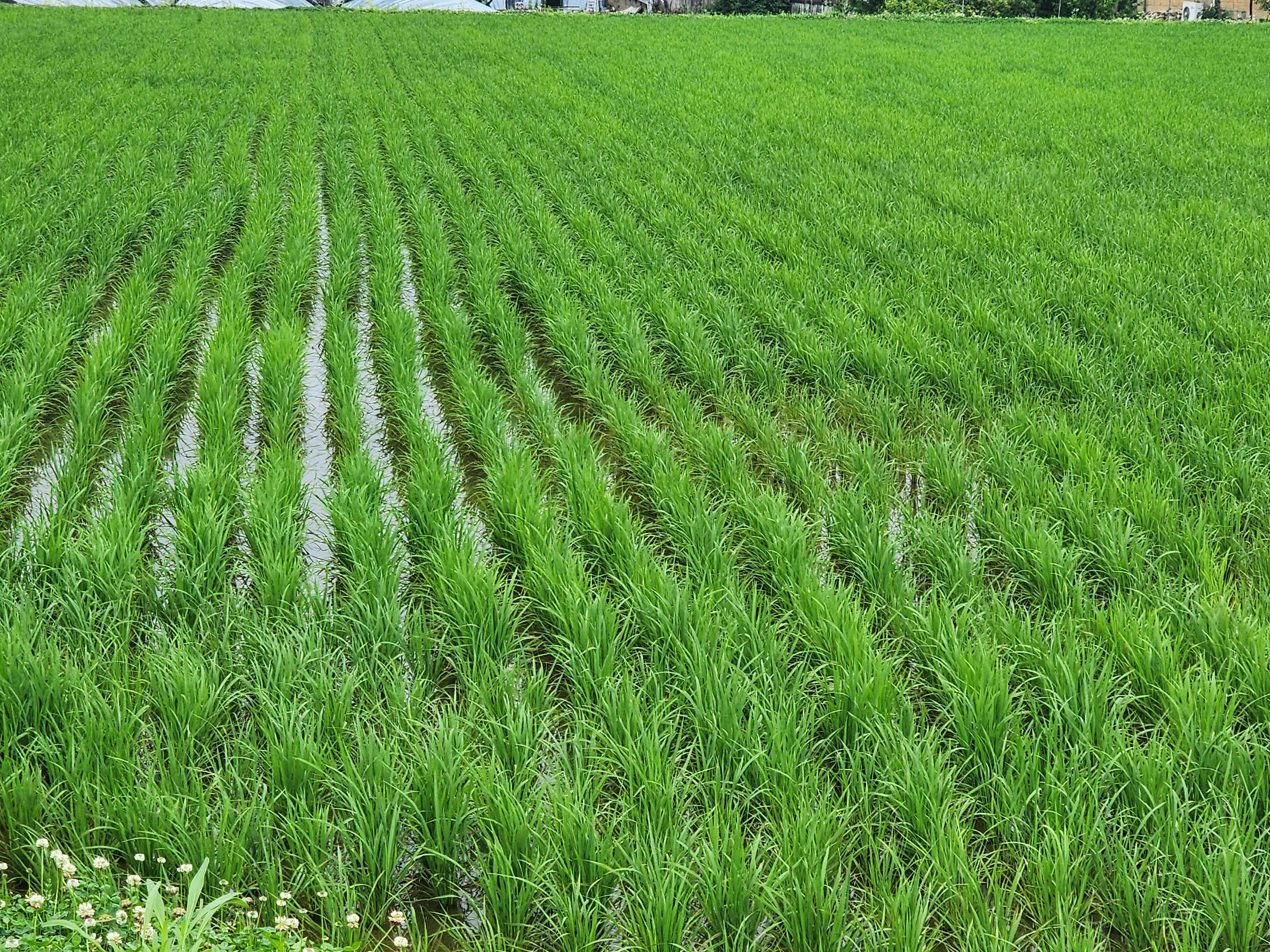 Alt 속성 문제 해결 설명 이미지