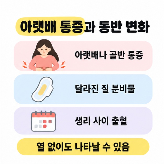 아랫배나 골반 통증, 달라진 질 분비물, 생리 사이 출혈을 인물과 위생용품, 달력 삽화로 보여 주고 열 없이도 나타날 수 있다고 안내한 증상 묶음