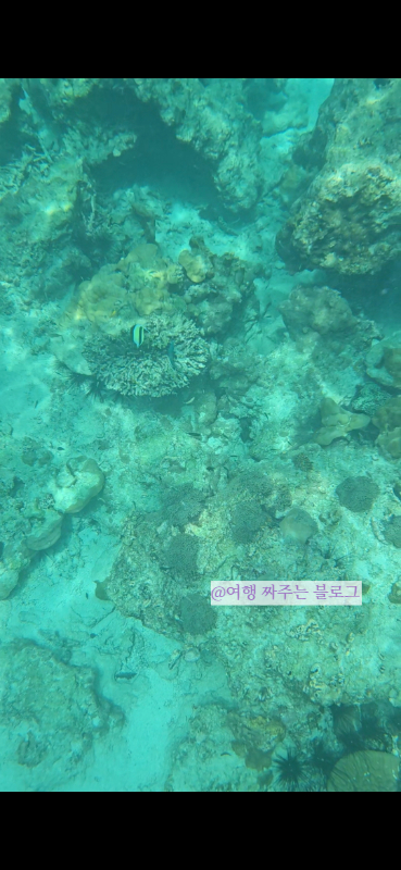 #피피섬투어 #카이섬투어 #맘씨좋은아저씨