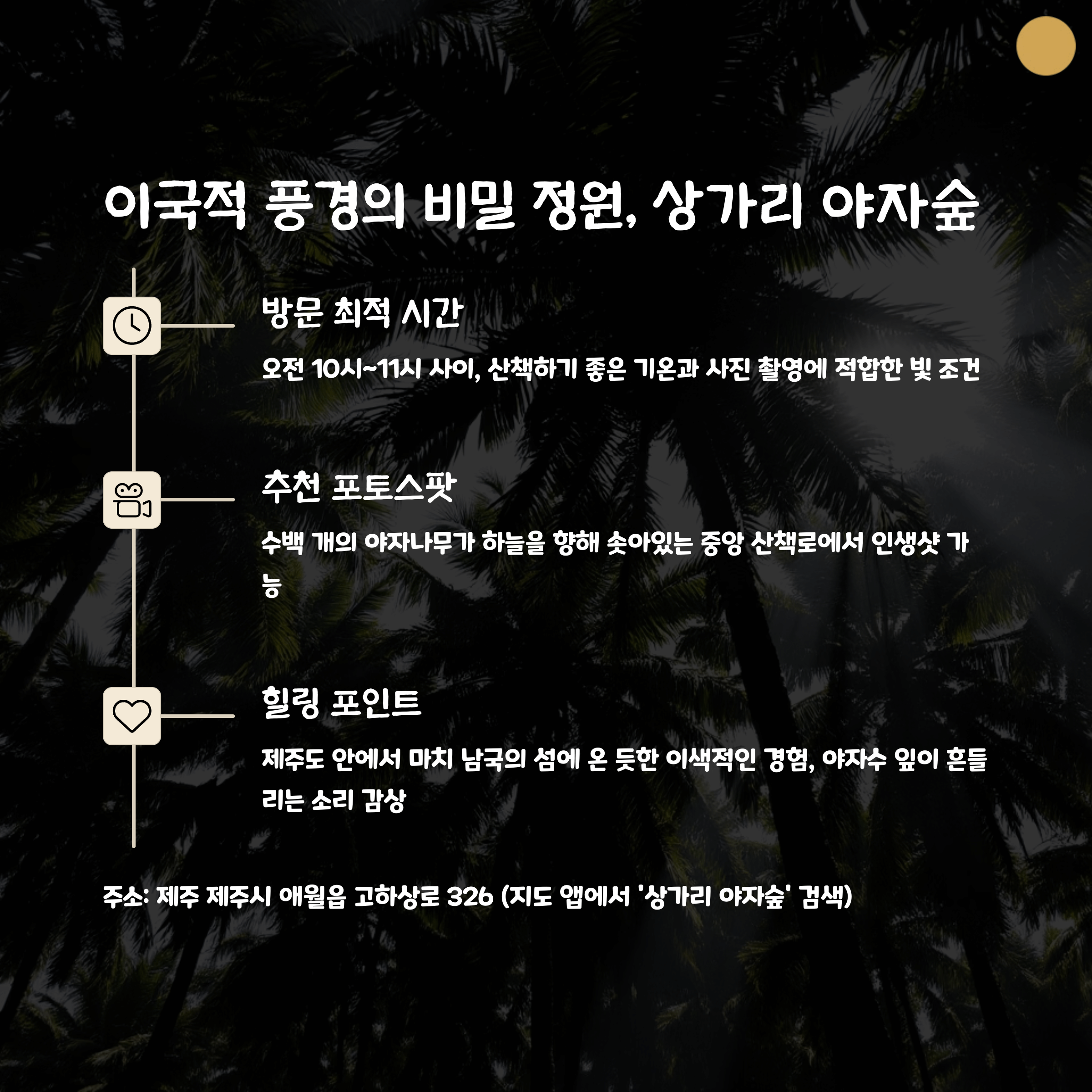 제주 상가리 야자숲