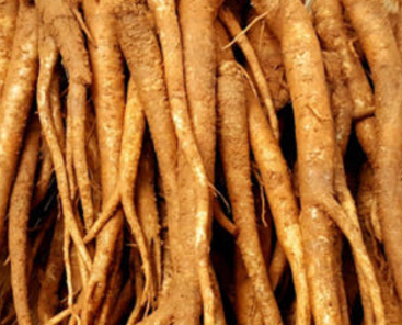 기침에 좋은 한약재