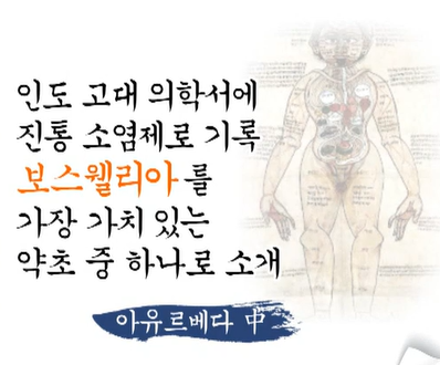 보스웰리아